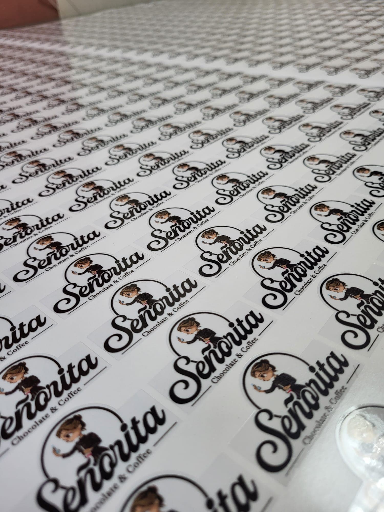 Ankara Şeffaf Etiket - Ek Görsel 4